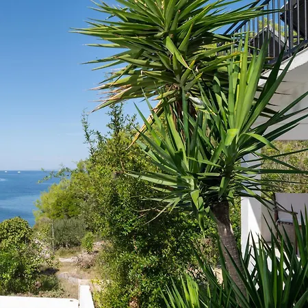 Beautiful With Infinity Pool, Hvar * Hvar Town